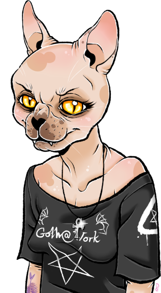 Anthropomorph hairless cat wearing gothic style